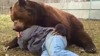 Необычная дружба - смотреть видео (3:57)