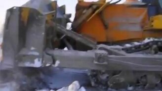 Спасение росомахи - смотреть видео (2:42)