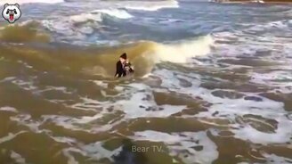 Спасаем животных! - смотреть видео (9:08)