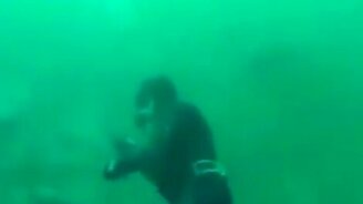 Акула чуть не откусила голову водолазу - смотреть видео (0:17)