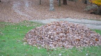 Как мы разыграли папу - смотреть видео (0:47)