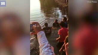 Спасение редкого сома - смотреть видео (1:32)