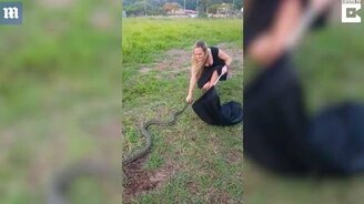 Хрупкая девушка ловит питона - смотреть видео (0:37)