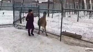 Тьфу на тебя! - смотреть видео (0:45)