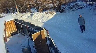 Спас кота от собак - смотреть видео (3:21)