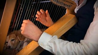 Песнь колоколов на арфе - смотреть видео (1:01)