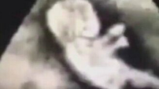 Самый юный шофёр в мире - смотреть видео (0:16)