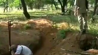 Особенности охоты на кабанов - смотреть видео (0:19)