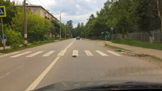 Примерный ёж-пешеход - смотреть видео (0:25)