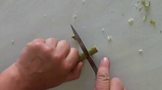 Как сделать свисток из ветки - смотреть видео (5:44)