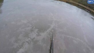 Спасла лабрадора от замерзания - смотреть видео (1:50)