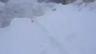 Прогулка с собакой в Норильске - смотреть видео (1:20)