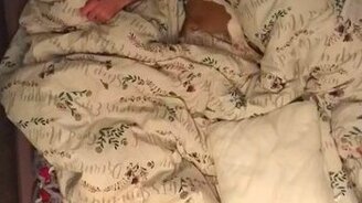 Щенок как ребёнок - смотреть видео (0:29)