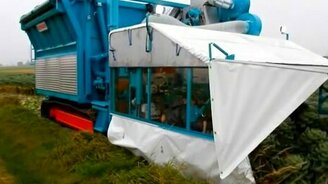 Как собирают брюссельскую капусту - смотреть видео (4:40)