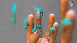 Сборник чудных зверушек - смотреть видео (4:32)