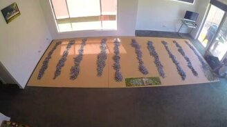 Собираем мозаику из 33 600 деталей - смотреть видео (2:34)