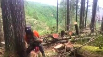 Недальновидный дровосек - смотреть видео (0:16)