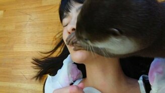 Выдра-стоматолог - смотреть видео (0:35)