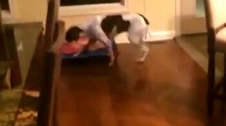 Застали за ночной едой - смотреть видео (0:08)