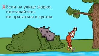 Как вести себя с опасными зверями - смотреть видео (10:16)