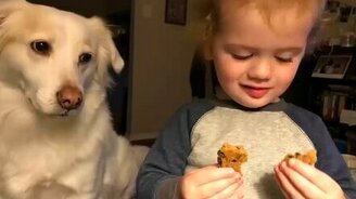 Десятка фотоприколов - смотреть видео (1:11)