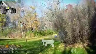 Войнушка вживую - смотреть видео (2:02)