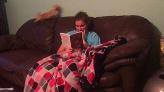 Домашний весёлый моторчик - смотреть видео (0:11)