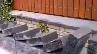 Когда ты - просто мастер своего дела - смотреть видео (0:59)