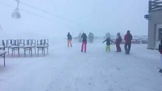 В пургу надо сидеть дома! - смотреть видео (1:32)