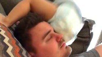 Милый, как прошёл день с сыном? - смотреть видео (0:04)