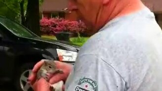 Выпустили белку на волю - смотреть видео (0:34)