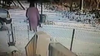 Битва женщины и кошки - смотреть видео (0:48)