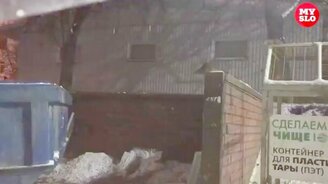 Крысы-летяги существуют? - смотреть видео (0:32)