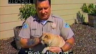 Это очень ласковый кот! - смотреть видео (1:16)