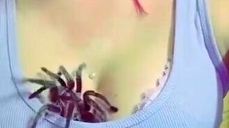 Охрана женской "прелести" - смотреть видео (0:14)