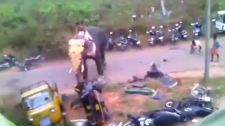 Когда не там припарковался в Индии - смотреть видео (0:58)