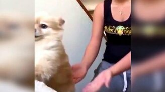 Смешные и красивые моменты из жизни - смотреть видео (10:59)