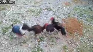 Когда ты - разнимающий - смотреть видео (0:30)