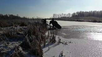 Спасли лося изо льда - смотреть видео (1:48)