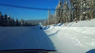 Медведь-шатун - смотреть видео (3:26)