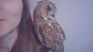 Сова ухаживает за девушкой - смотреть видео (3:02)