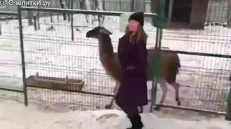 Тьфу на тебя, девка! - смотреть видео (0:45)