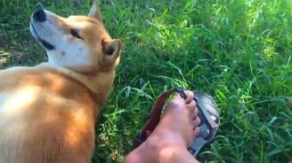 Что делать в непонятной ситуации - смотреть видео (0:10)