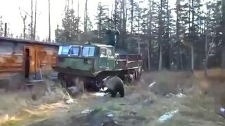 Медведь вышел к вахтовикам - смотреть видео (2:20)