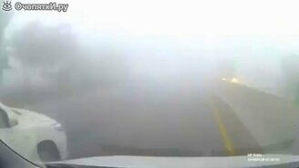 Пусти, я лечу в туман! - смотреть видео (0:38)