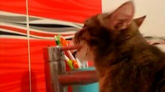 Какой вкусный кран! - смотреть видео (0:46)