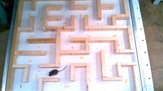 Лабиринт для мыши - смотреть видео (13:10)