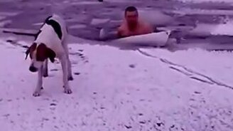 Спасение тонущей собаки - смотреть видео (1:25)