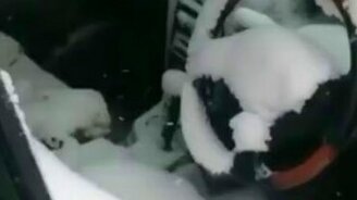 Снег везде пройдёт! - смотреть видео (0:34)