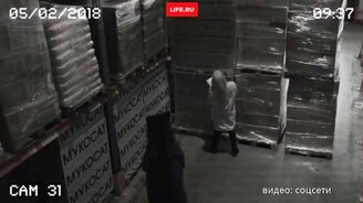 Медведь пришёл на склад - смотреть видео (0:23)